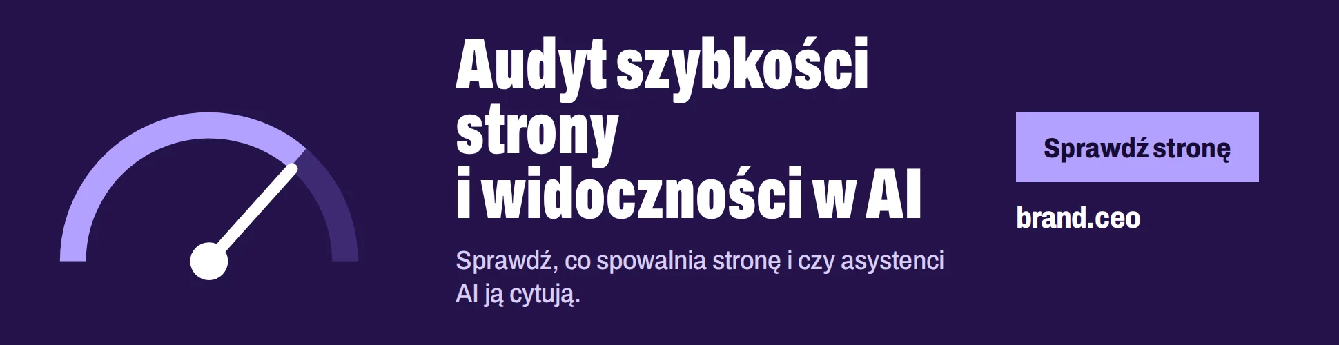 audyt szybkości strony, audyt widoczności ai